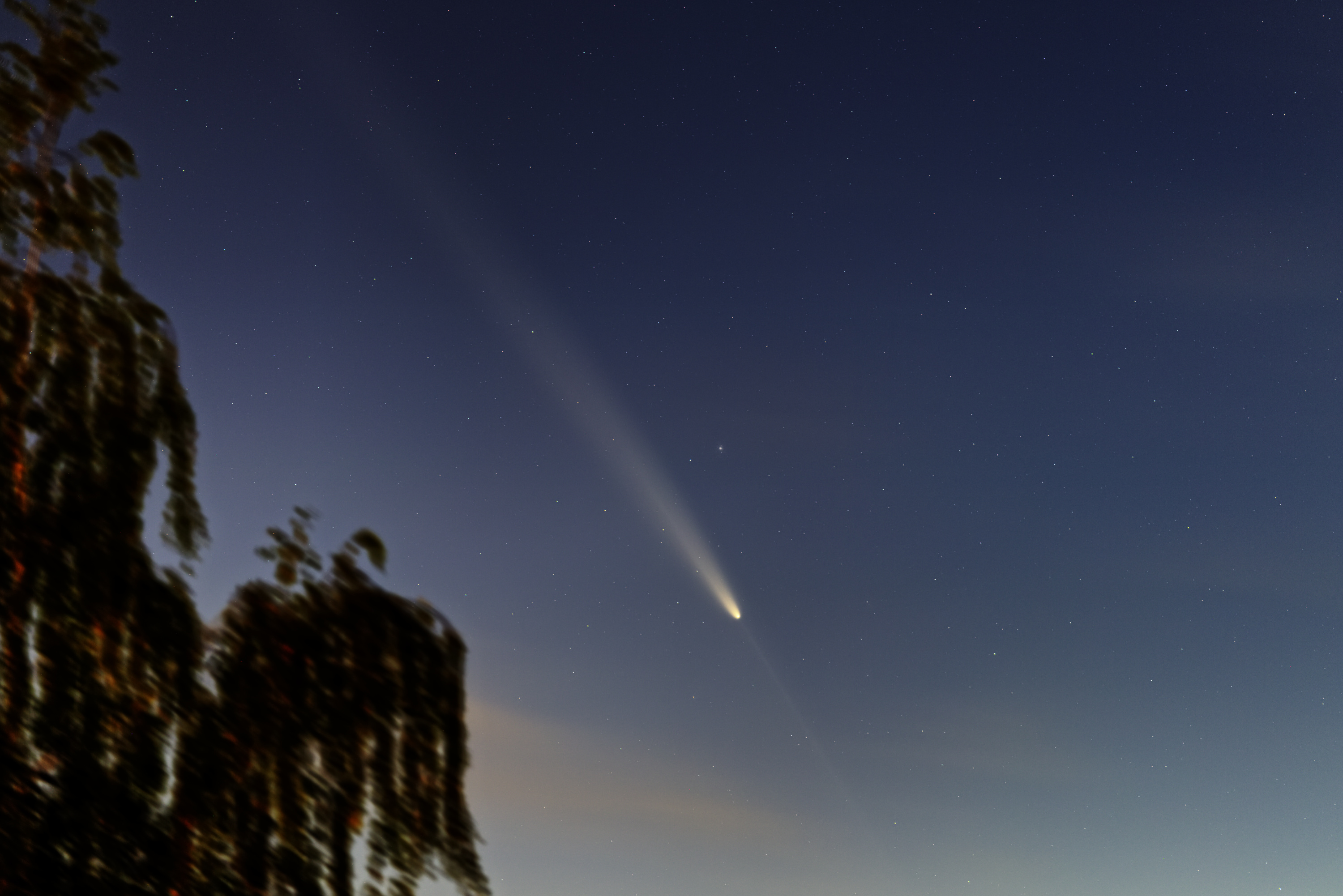 Comet C/2023 A3